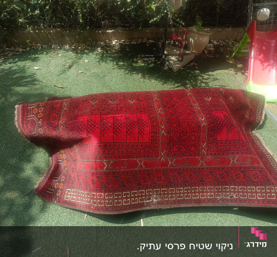 שטיח אדום מונח על דשא בחצר